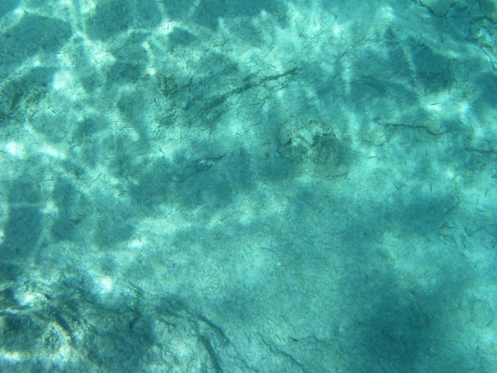 Villa Amalia Chalki Town Dış mekan fotoğraf